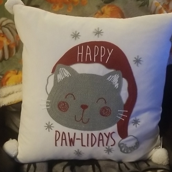 whiskers & co. Other - 2 Decor pillows